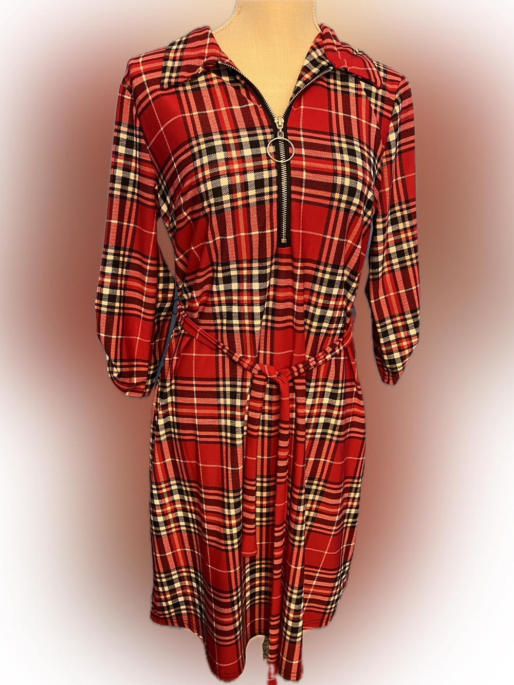 Mlle Gabrielle Red Plaid Long Sleeve Zip-Front Shirt Dress, Size M